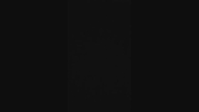 rex_2327  25-03-2022